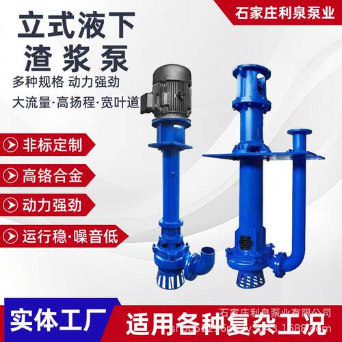 立式液下渣浆泵YZZJY渣浆泵悬臂式液下渣浆泵大扬程抽沙泵