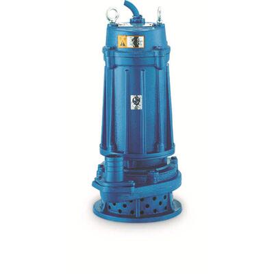 泵工程高扬小型程家潜水用寸排污口用污水泵380v高楼220v泵螺纹2/