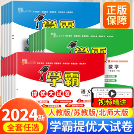 2024春新小学学霸提优大试卷一年级二年级三四五六年级下册，上册语文人教数学苏教英语，译林版同步训练期末冲刺100分试卷测试卷全套