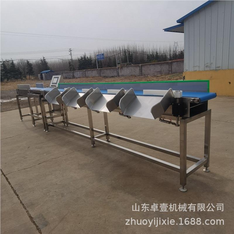 自动称重皮分选流水线输送式带秤机高度灵敏不锈钢在线动态检重秤