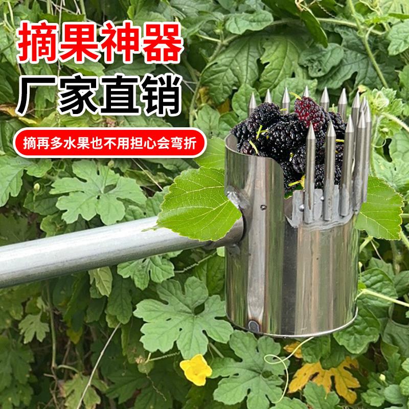 收酸枣神器新款专用大全摘酸枣工具不锈钢采果器柏籽摘酸枣神器