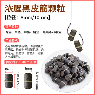 浓腥巨物大物青鲟鱼鲤鱼皮筋雾化颗粒底窝挂钩腥臭味野钓黑坑饵料