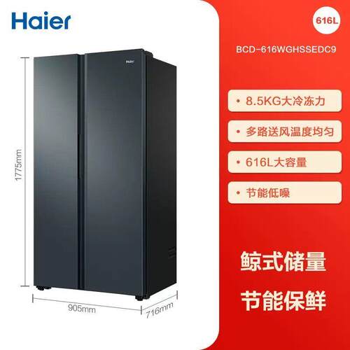 H.aier/海.尔 BCD-616WGHSSEDC9 一级变频风冷无霜家用对开双门冰
