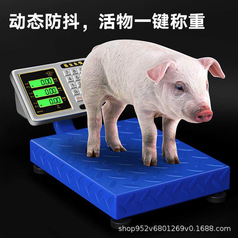 手提台秤电子秤商用小型便携卖菜快递称重电子称家用公斤磅秤