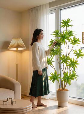 彷真绿色植物百合竹客厅高级氛围感摆件彷生植物北欧风大型假树装