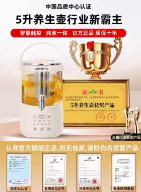 德国2025新款养生壶家用炖煮一体5升大容量带水龙头煮茶壶多功能A