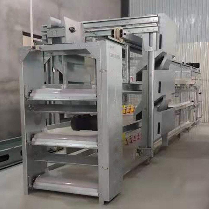 全自动肉鸡笼个性化框架框架式肉鸡养殖设备繁育笼智能