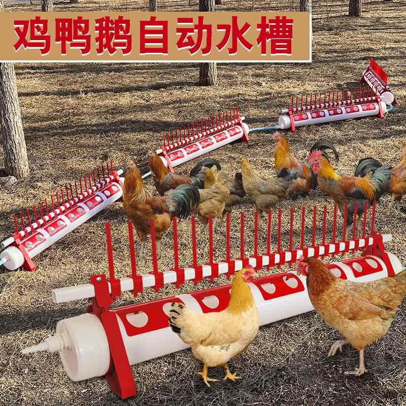 养殖家禽专用饮水器鸡用饮水槽喝水器散养鸡自动喂水槽鸡自动水槽