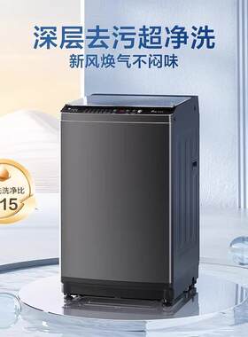 Littleswan小天鹅TB80V26T洗衣机全自动8公斤家用波轮洗脱