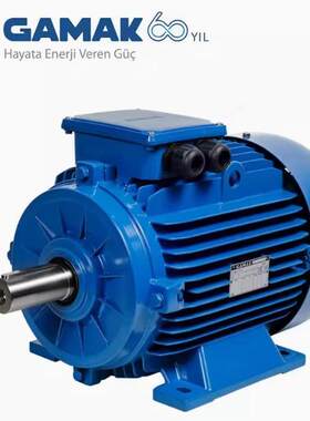 供应GAMAK电机，功率0.18-75KW，电压三相220/380V,立卧安装方式
