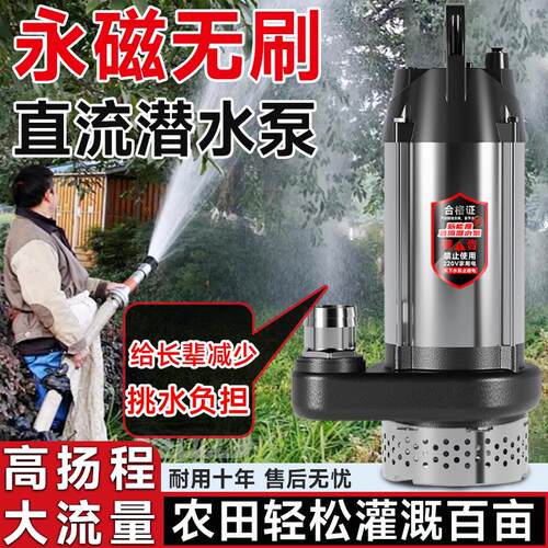 永磁无刷直流潜水泵48V60V72V电动车通用智能农用灌溉抽水泵