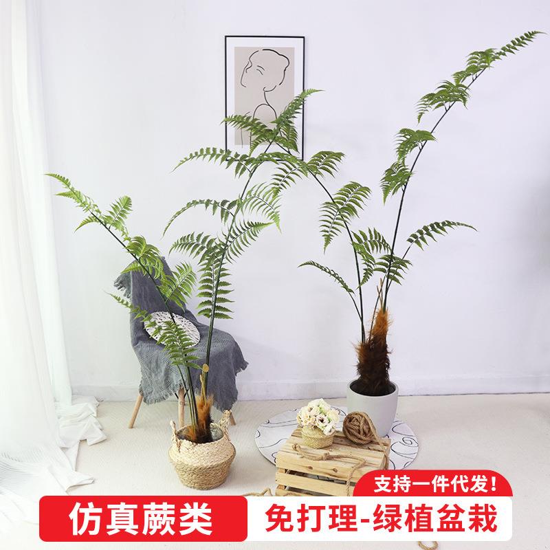 仿真厥类盆栽金毛狗蕨禅意中式园林庭院软装造景仿真猴头蕨类盆栽