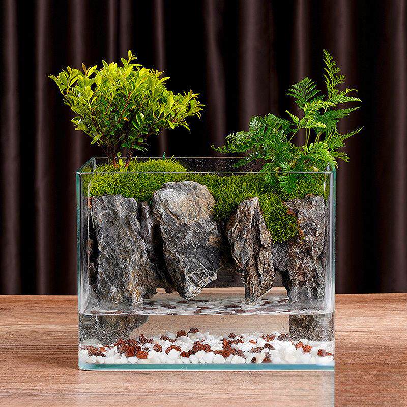 水陆缸造景全套苔藓微景观懒人办公桌真绿植成品微景观生态鱼缸