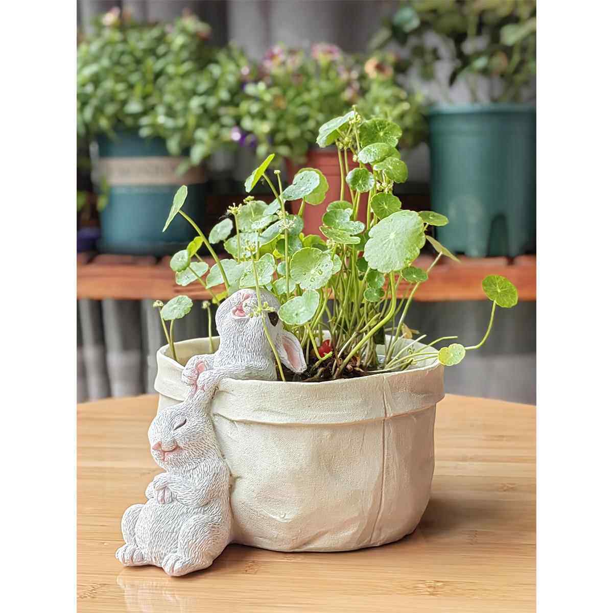 创意情侣兔子口袋状花盆阳台花园树脂彷真动物摆件铜钱草水培花缸