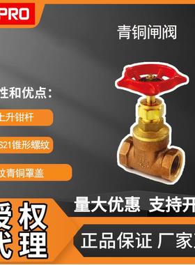 青铜闸阀 带BS21锥形螺纹闸阀 内螺纹青铜闸阀 510-3851