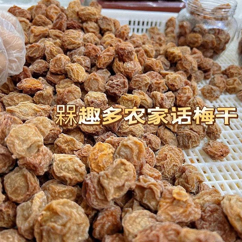 普宁特产农家话梅干罐装网红孕妇梅子小零食酸甜话梅果脯蜜饯果干