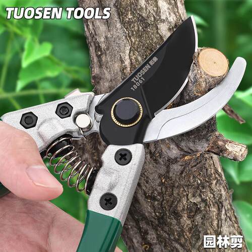 树枝剪刀园林花艺摘果剪绿化嫁接园艺剪刀果树修枝园林剪工具