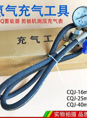 剪板机充气工具 NXQ囊式蓄能器储能器氮气充气阀CQJ-16/25/40MPA