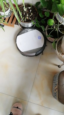 【贴吧热议】科沃斯DT85G扫地机器人怎么样|小编深度剖析评测？