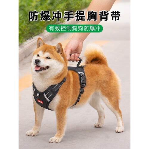狗狗牵引绳胸抱婴袋遛狗绳子外出防挣脱柴犬中大型犬背心式狗炼