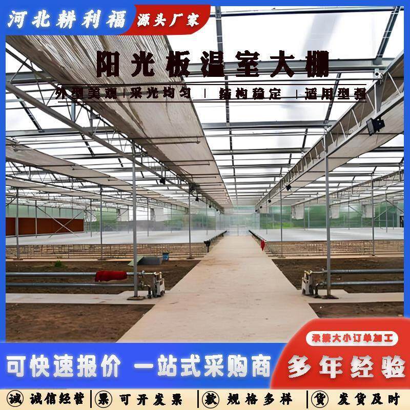 智能玻璃温室大棚 连栋温室阳光板骨架农业设施大棚
