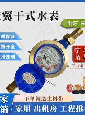 干式水表自来水家用出租屋房树脂玻璃46分防冻防青苔普通