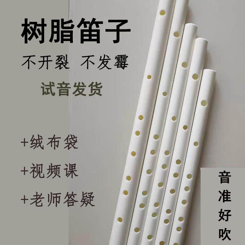 高档笛子横吹短笛水管ppr竹笛白色树脂民族乐器E调彷入6门F玉初学
