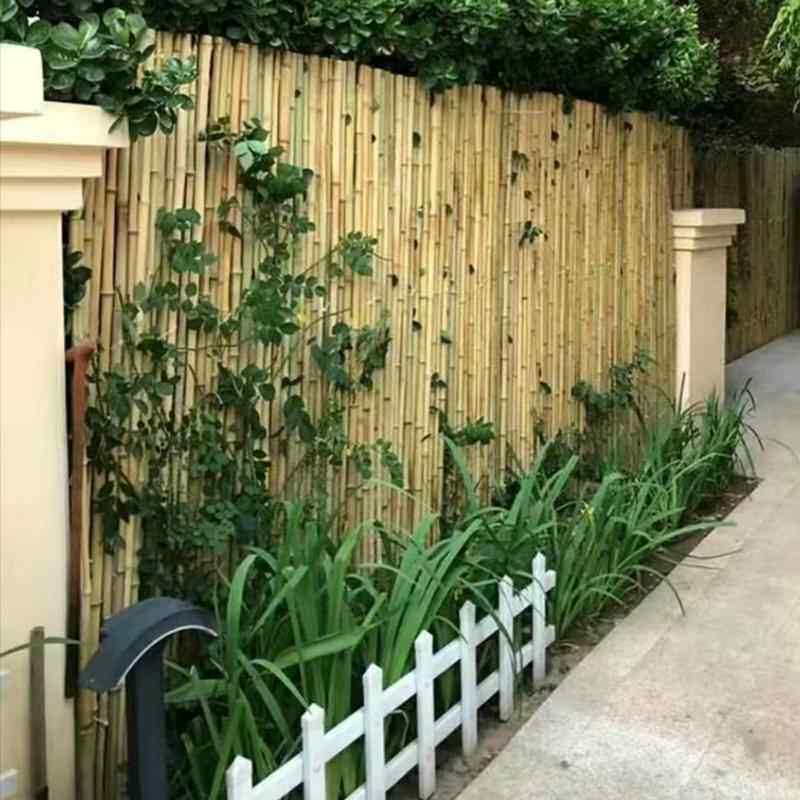 竹篱笆栅栏庭院竹子围栏花坛户外护栏绿植别墅隔断防腐栏杆竹排