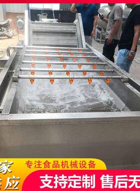 多功能果蔬清洗机气泡臭氧洗菜机净菜前处理清洗线香菇净菜处理