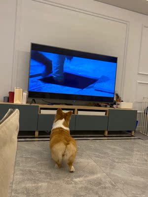 海信 HZ70E3D怎么样是哪里生产的，值吗