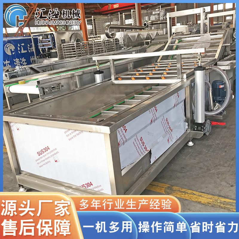 商用果蔬鼓泡翻浪清洗机小油菜清洗机循环水叶菜类清洗机厂家供应