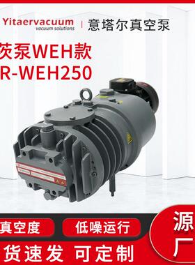 罗茨真空泵现货罗茨泵WEH款ETR-WEH250自然风冷工业真空机厂家