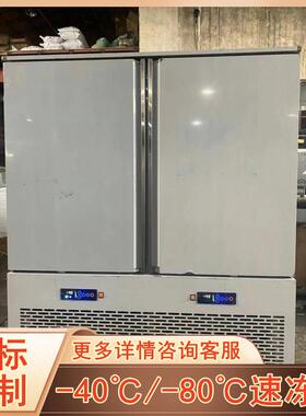 商用-40℃速冻柜 保鲜冰袋冰块速冻柜 无霜风冷速冻机器厂家