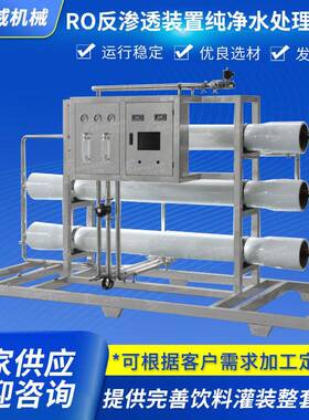 水处理设备反渗透装置定制RO纯水机小型供应RO反渗透水处理设备