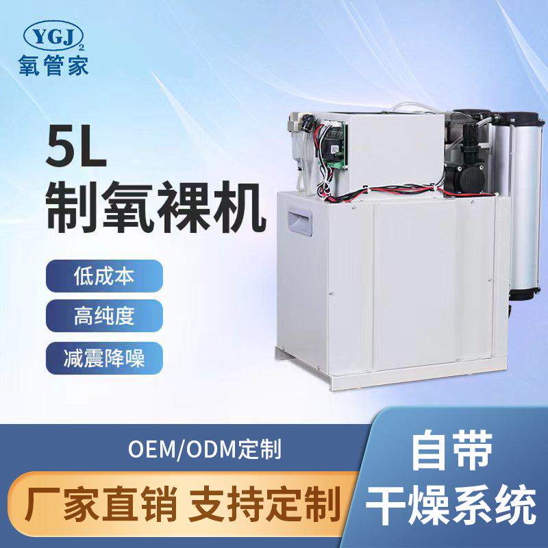 精工5L高纯度浓度95%自带干燥排水系统氧气机机芯PSA增氧机机芯