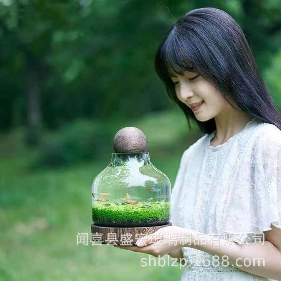 日式椭圆形生财微生态聚宝盆玻璃鱼缸瓶创意轻瓶厂家木托奢景观
