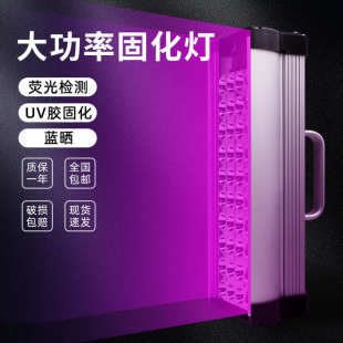 墨固化 检测固化绿油油led胶水无影紫外线大功率荧光uv灯晒版