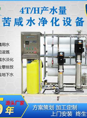 直销4吨/H水处理设备 反渗透小型海水淡化设备船用苦咸水净化装置