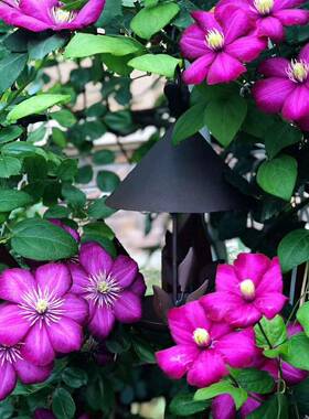 229877铁质做旧小鸟房子喂鸟器工艺摆铁件质件花园挂装饰