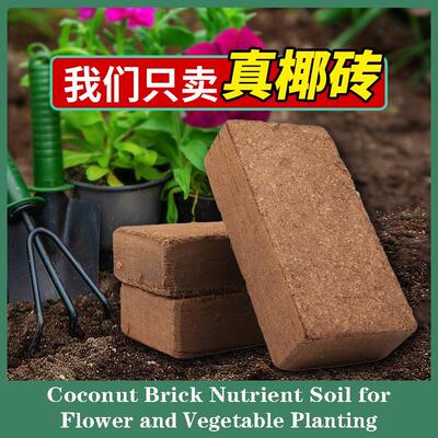 Coconut Coir Brick Nutrient Soil Combo: Organic Fertilizer