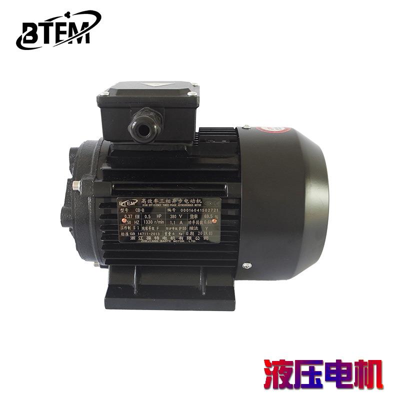 三相异步电机齿轮油泵CB-B/HGP1A/TOP/BB16国标380V纯铜马达