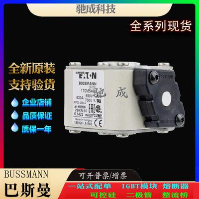 巴斯曼170M5452 170M5458 170M5459 现货供应优价供应 特种保险丝