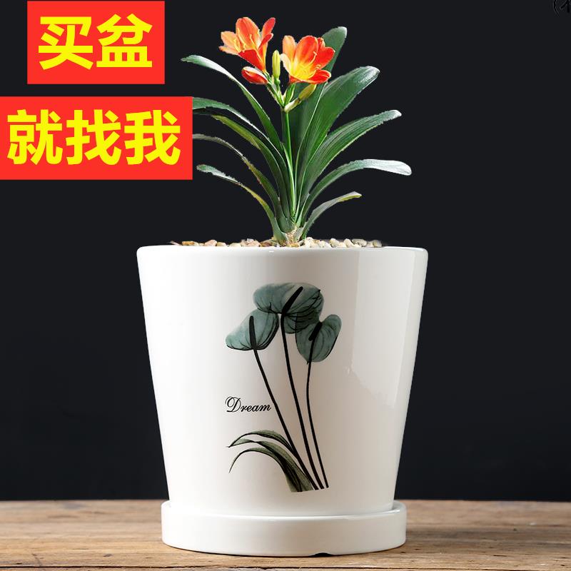 花盆陶瓷大号特价清仓多肉花盆带托盘塑料轻奢ins风绿萝兰花花盆