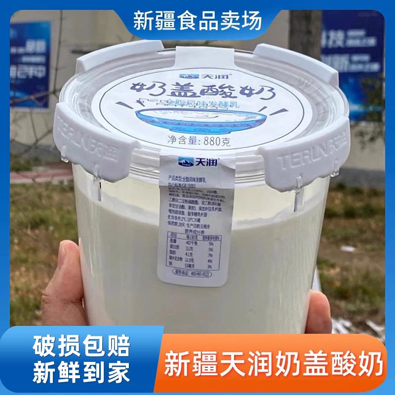 天润酸奶新疆天润奶盖酸奶圆桶装低温酸奶全脂发酵乳880g*2桶装