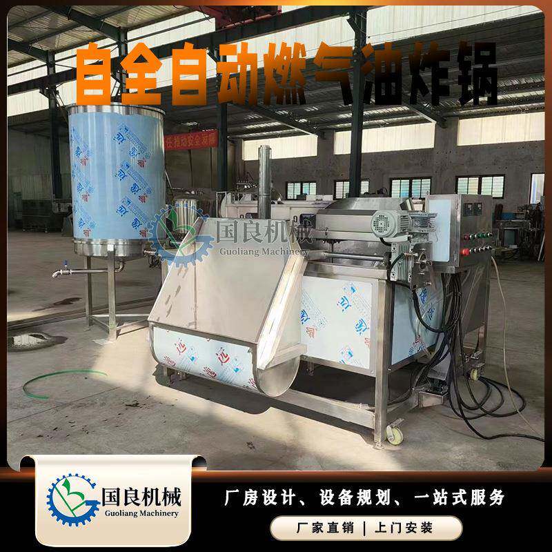 全自动燃颗粒油炸机豆制品膨化豆泡腐竹薯片薯条油炸锅