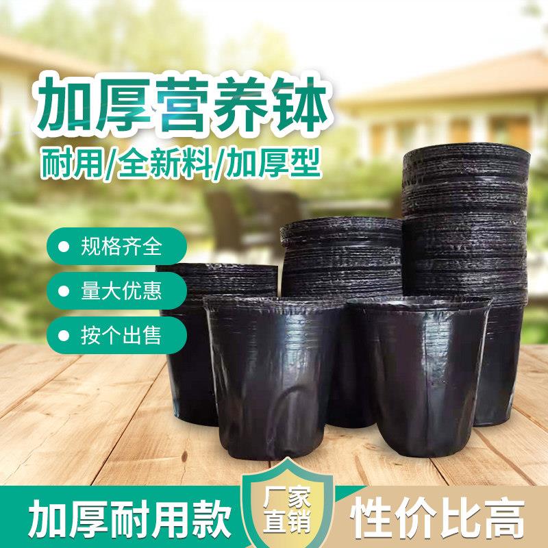 营养钵塑料育苗杯育苗盆营养袋育苗袋一次性花盆营养杯黑色加厚大