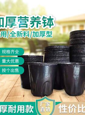营养钵塑料育苗杯育苗盆营养袋育苗袋一次性花盆营养杯黑色加厚大