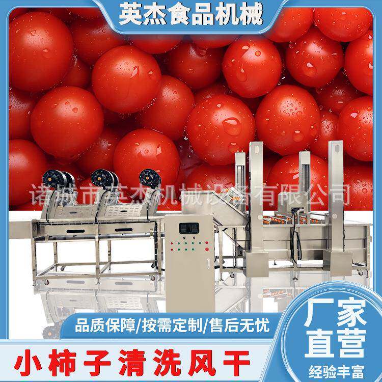 小柿子清洗风干流水全套净菜加工清洗流水线果蔬清洗成套设备