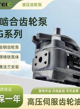 海特克内啮合齿轮泵油泵HG0-08/10/20/16HG1-25/40/50/63-01R-VPC