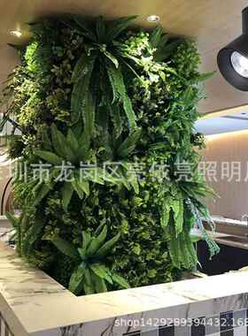 灯LED植物补光室小太阳生长灯VON全光谱绿植花卉鱼盆栽缸仿太阳内